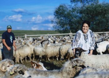 Dumitrița Gliga, deputat PSD Mureș, către Guvern: Nu abandonați agricultorii români!
