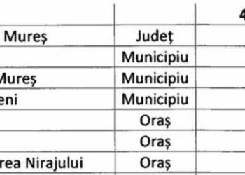 Dumitrița Gliga, deputat PSD Mureș: Mare nedreptate pentru mulți locuitori din jud. Mureș