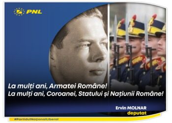 Mesajul deputatului Ervin MOLNAR de Ziua Armatei Române