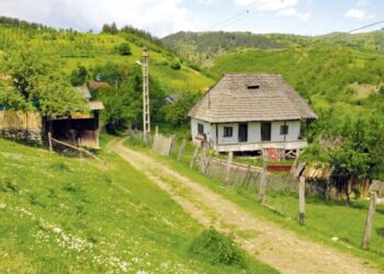 Proiect de lege adoptat: Asistenţă medicală mobilă pentru zonele rurale