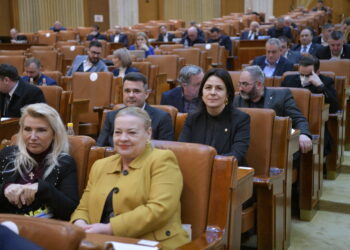 Reglementări noi în sprijinul furnizorilor locali