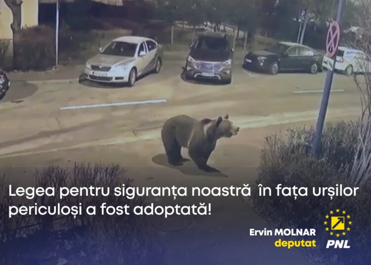 Ervin Molnar, deputat: Vot pentru siguranța cetățenilor în fața urșilor periculoși