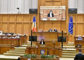 Dumitrița Gliga, deputat PSD Mureș: Investiții prioritare pentru apă, canalizare, drumuri și rețele de gaz în județul Mureș