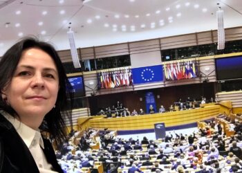 Dumitrița Gliga, deputat PSD Mureș: Mureșul, la Bruxelles!