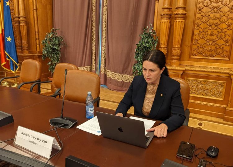 Dumitriţa Gliga, deputat PSD Mureș, la sesiunea specială pentru dezarmare organizată de SCRAP Weapons şi Uniunea Interparlamentară