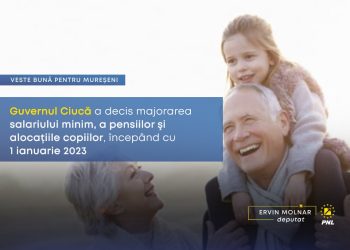 Ervin Molnar, deputat PNL: Sprijin pentru românii cei mai afectați de scumpiri