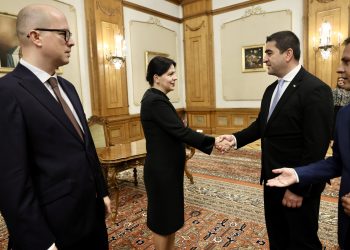 Dumitrița Gliga, deputat PSD Mureș: Ne dorim aprofundarea și extinderea relațiilor bilaterale dintre România și Georgia