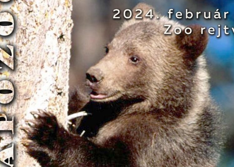 Zilele Ursului la Grădina Zoologică din Târgu Mureș