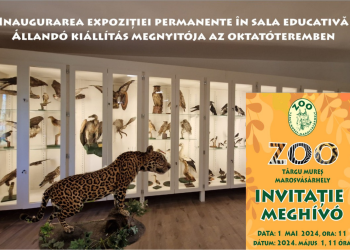 Zoo Târgu Mureș: Expoziție permanentă cu aproape 200 de animale preparate în Sala Educativă