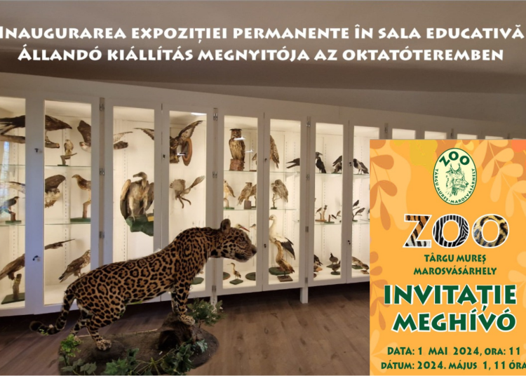 Zoo Târgu Mureș: Expoziție permanentă cu aproape 200 de animale preparate în Sala Educativă