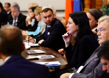 Dumitrița Gliga, deputat PSD Mureș: Prosumatorii care au deja instalate panouri fotovoltaice nu au obligația de a-și instala capacităţi de stocare