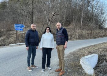 Dumitrița Gliga, deputat PSD Mureș: În sfârșit s-a obținut finanțare pentru cei 1,5 km din comuna Viișoara, rămași nereabilitați de peste 20 de ani