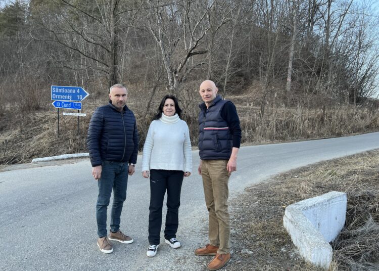 Dumitrița Gliga, deputat PSD Mureș: În sfârșit s-a obținut finanțare pentru cei 1,5 km din comuna Viișoara, rămași nereabilitați de peste 20 de ani