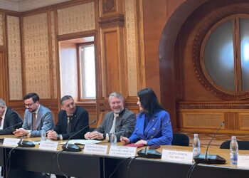 Dumitrița Gliga, deputat PSD Mureș: Ministrul Educației, dl Daniel Ovidiu David, la Comisia pentru învățământ
