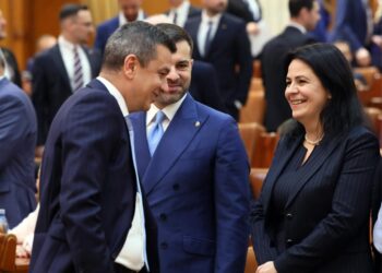 Dumitrița Gliga, deputat PSD Mureș: Autostrada #A8 – lotul Sărățeni – Joseni, de 32,4 km, are constructor desemnat