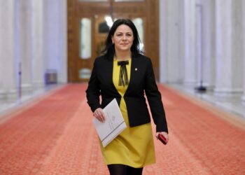 Dumitrița Gliga, deputat PSD Mureș: Menținerea plafonării adaosului la alimentele de bază este necesară