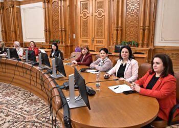 Dumitrița Gliga, deputat PSD Mureș: Femicidul va fi reglementat prin lege la inițiativa femeilor social-democrate