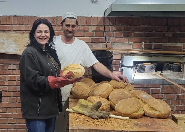 Dumitrița Gliga, deputat PSD Mureș: Fonduri pentru cei care muncesc și investesc în producția alimentară românească