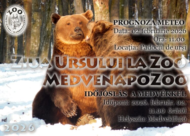 Ziua ursului la Zoo Târgu Mureș