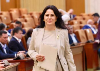 Dumitrița Gliga, deputat PSD Mureș: Un pas important pentru modernizarea urbanismului din România