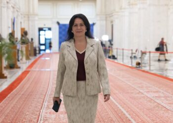 Dumitrița Gliga, deputat PSD Mureș: Pentru PSD, lucrurile sunt clare: România înaintea intereselor de partid!