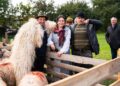 Dumitrița Gliga, deputat PSD Mureș: Ministrul Agriculturii trage de timp pe banii crescătorilor de ovine