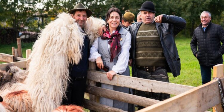 Dumitrița Gliga, deputat PSD Mureș: Ministrul Agriculturii trage de timp pe banii crescătorilor de ovine